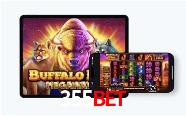 Security Systems 355bet
